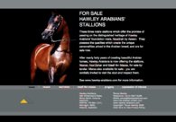 A great web design by BundyWebsites - rent a site, Brisbane, Australia: 