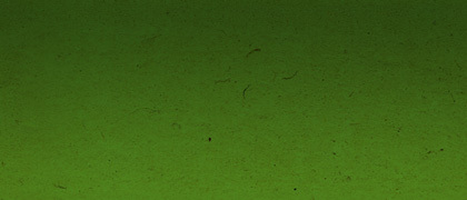 A great web design by foosball, inc, Rochester, NY: 