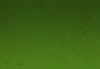 A great web design by foosball, inc, Rochester, NY: 