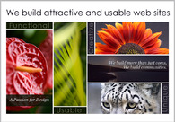 A great web design by Sevtopolis, Washington DC, DC: 