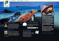 A great web design by jordesign, Wollongong NSW, Australia: 