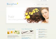 A great web design by MMSDesign, New York, NY: 