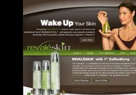 A great web design by Joe, Santiago, Chile: 