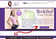 A great web design by InBusiness, Inc., Orlando, FL: 