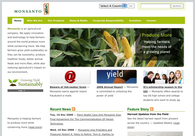 A great web design by W Creative, St Louis, MO: 