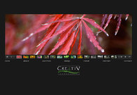 A great web design by Chip Chuck Design, Athens, GA: 