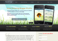 A great web design by Shay Isdale Design, Austin, TX: 