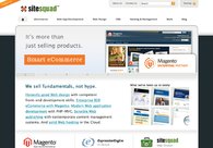 A great web design by Sitesquad, Pittsburgh, PA: 