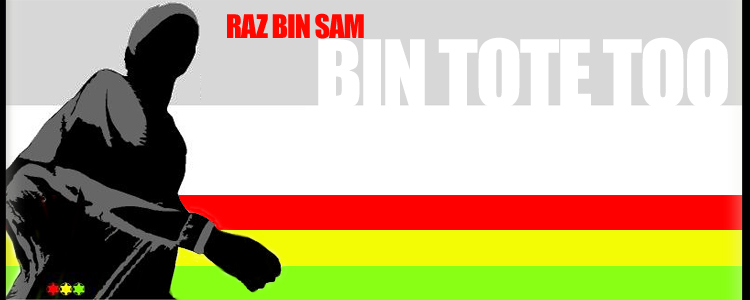 Bin Tote Too