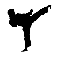 Karate Sound Effects