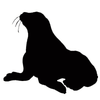 Seal Sound Effects