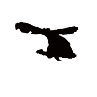 Hornet Sound Effects