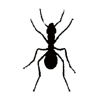 Ant Sound Effects Ant Sound Effects
