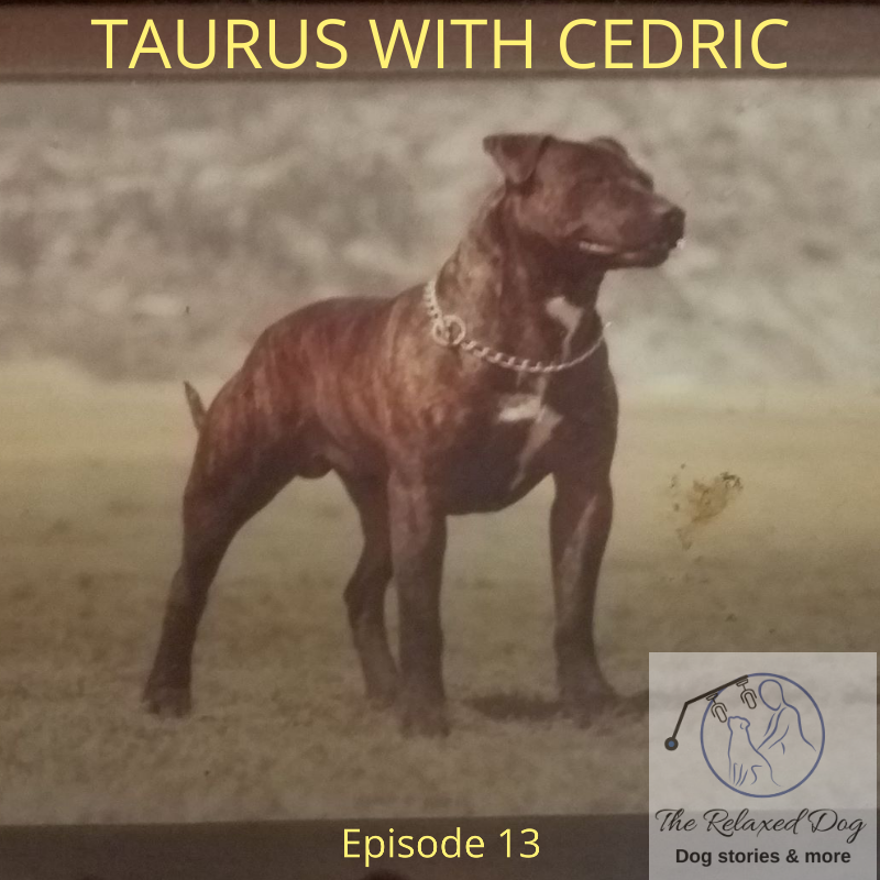 E13 Taurus with Cedric