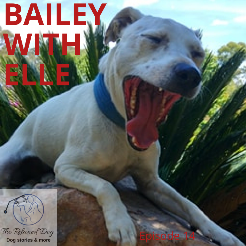 E14 Bailey with Elle