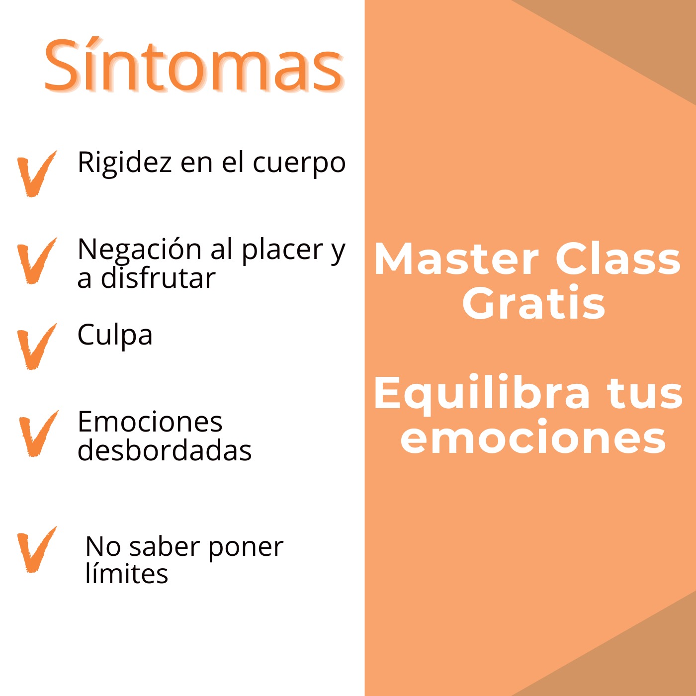 Master Class Equilibra tus emociones