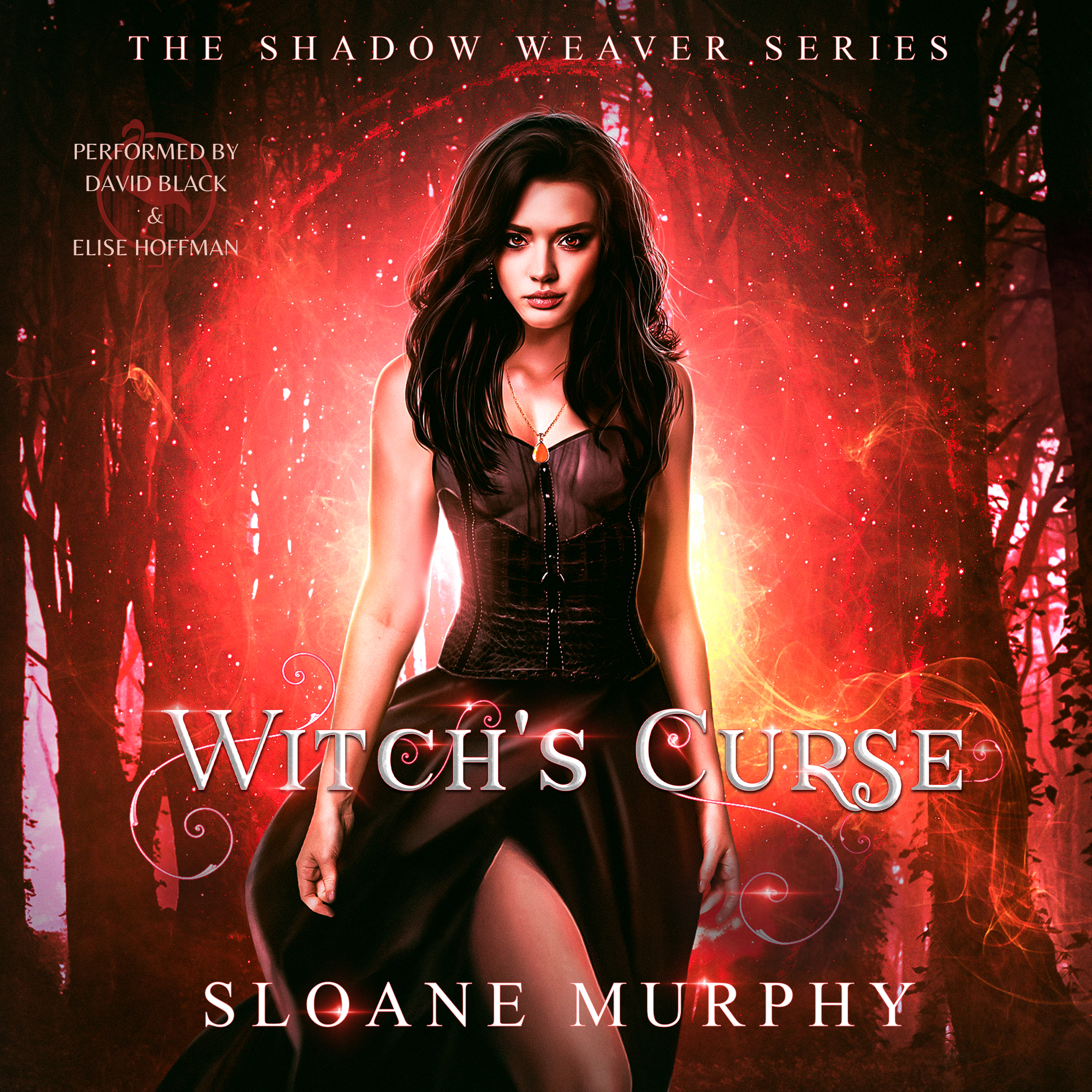 Witch's Curse (The Shadow Weaver Series, Book 1)