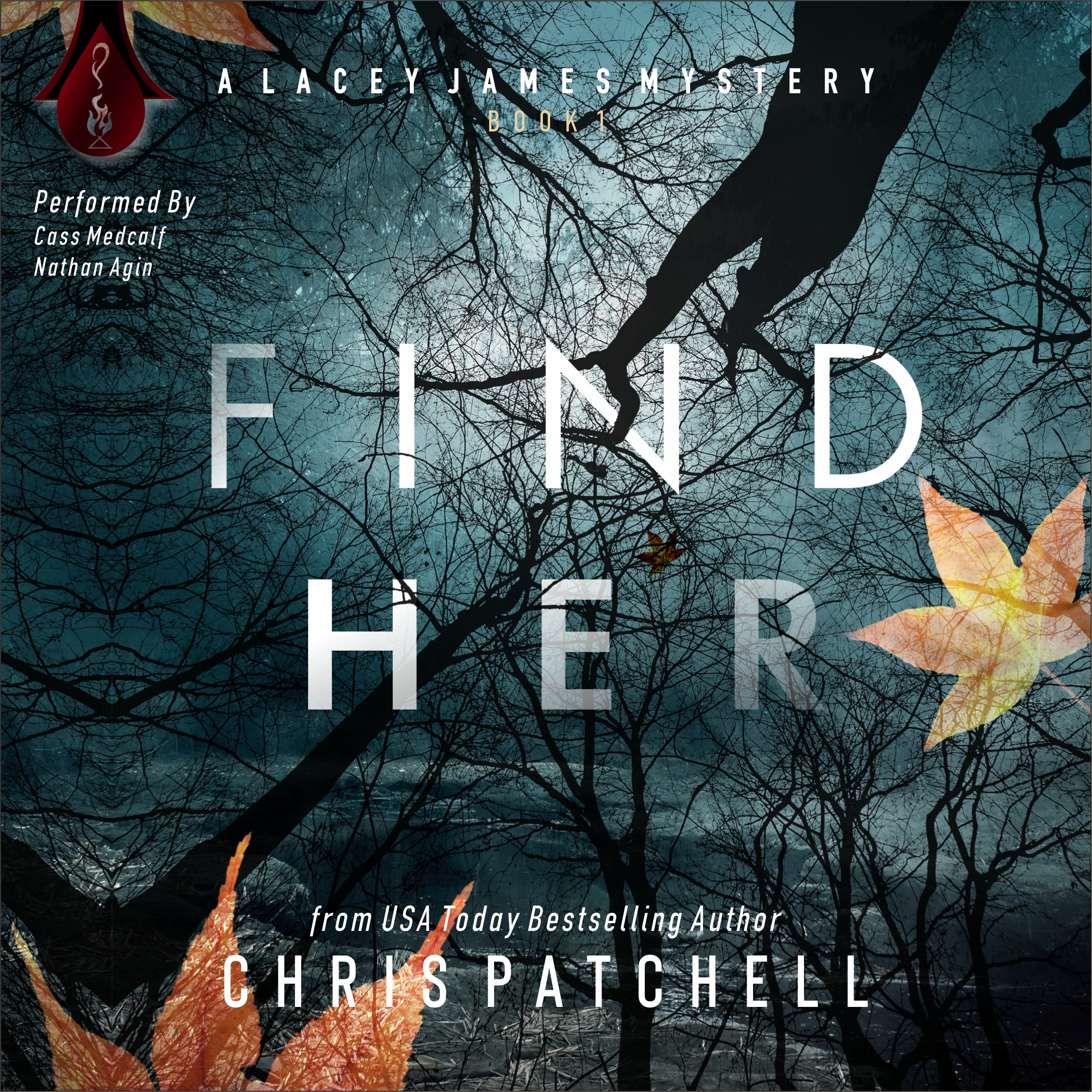 Find Her (A Lacey James Series, Book 1)
