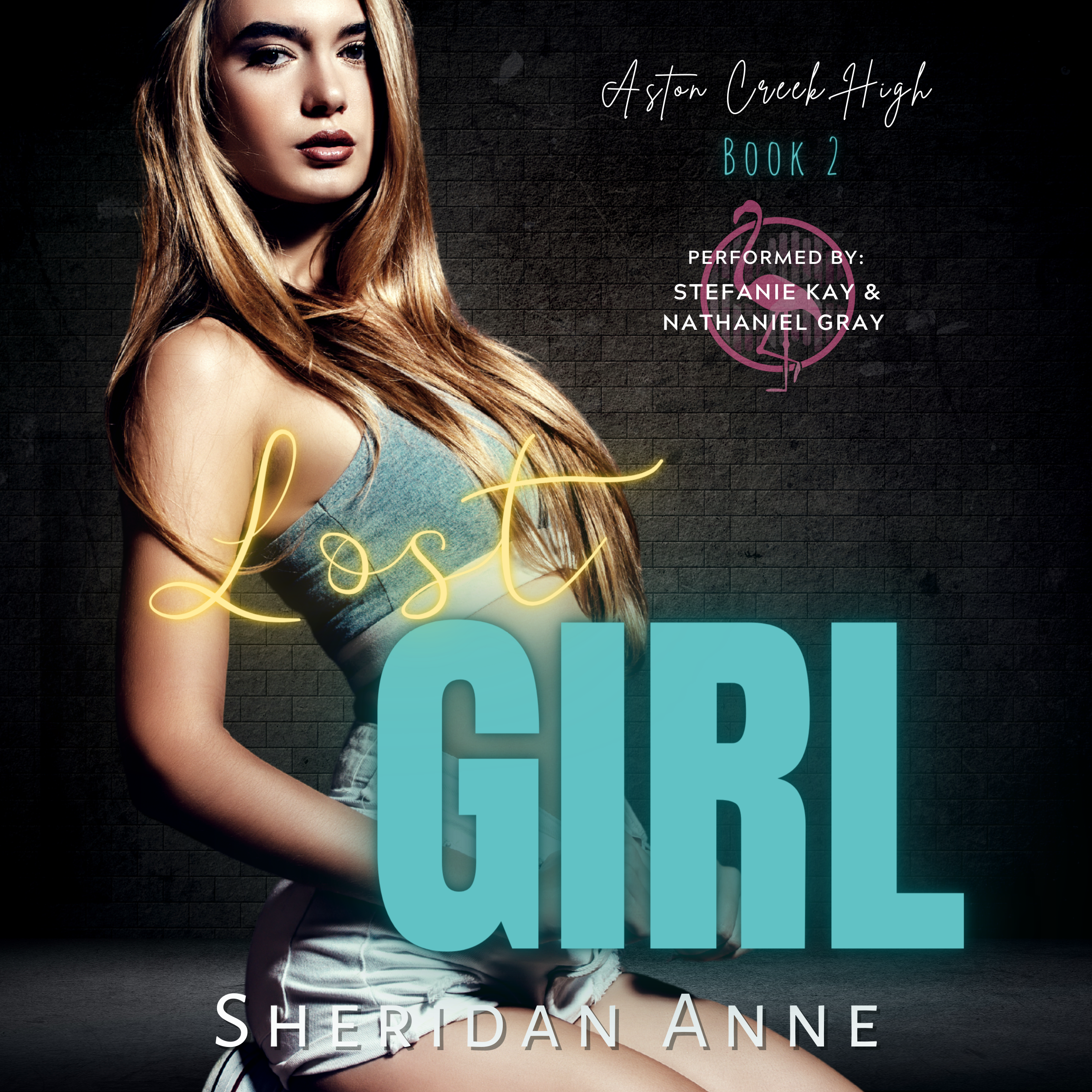 Lost Girl, A dark, high school, bully romance