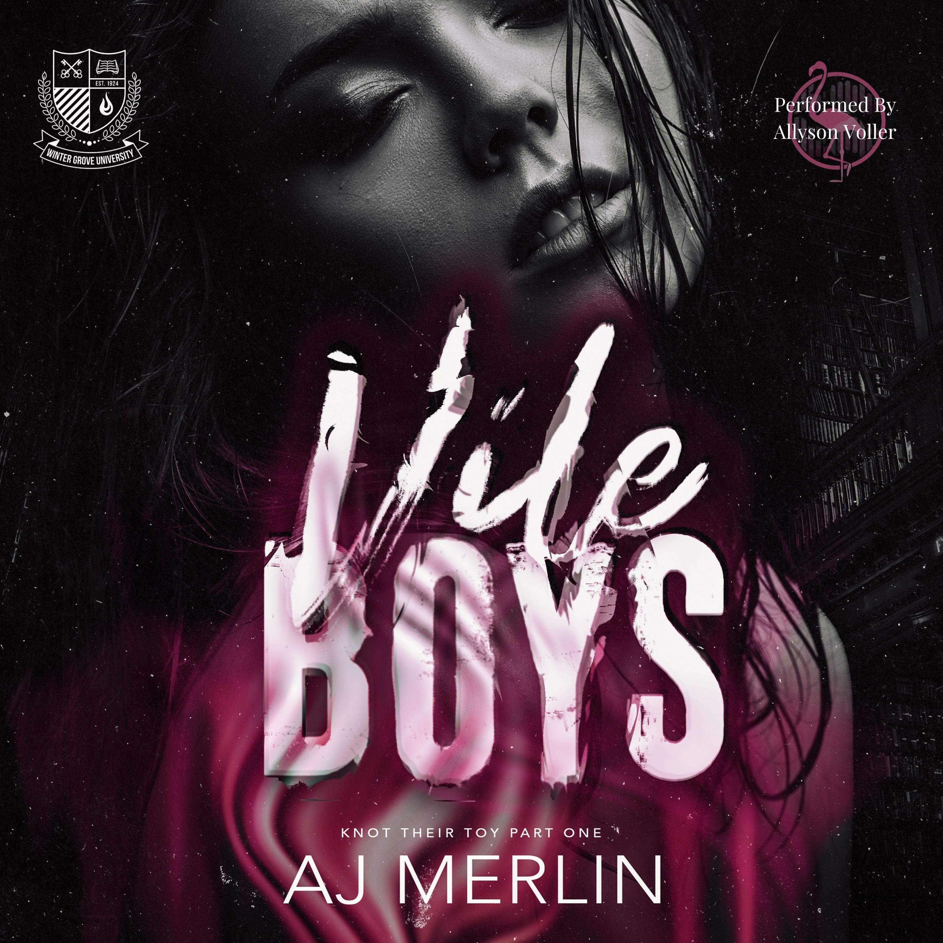 Vile Boys (Knot Their Toy, book 1)