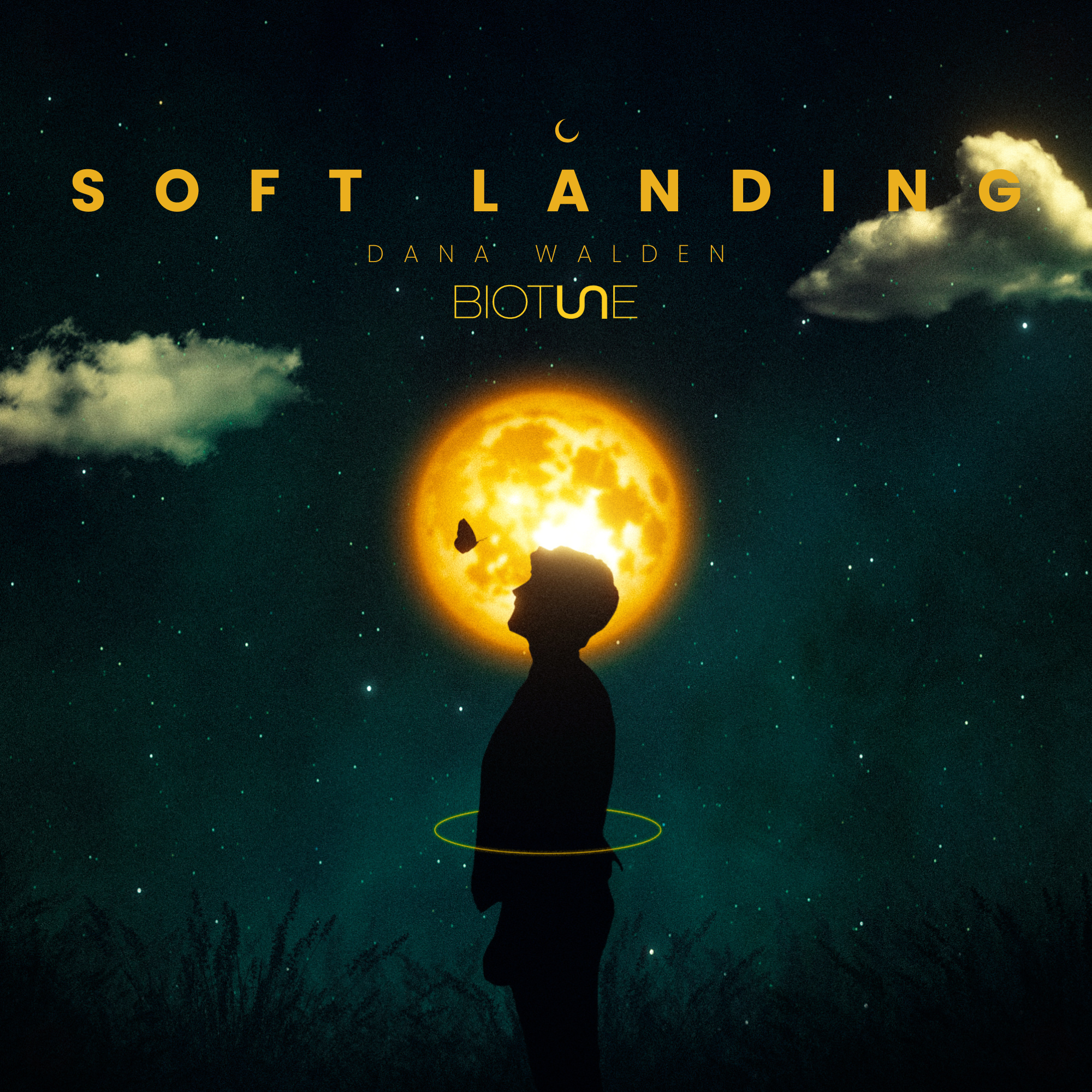 Soft Landing