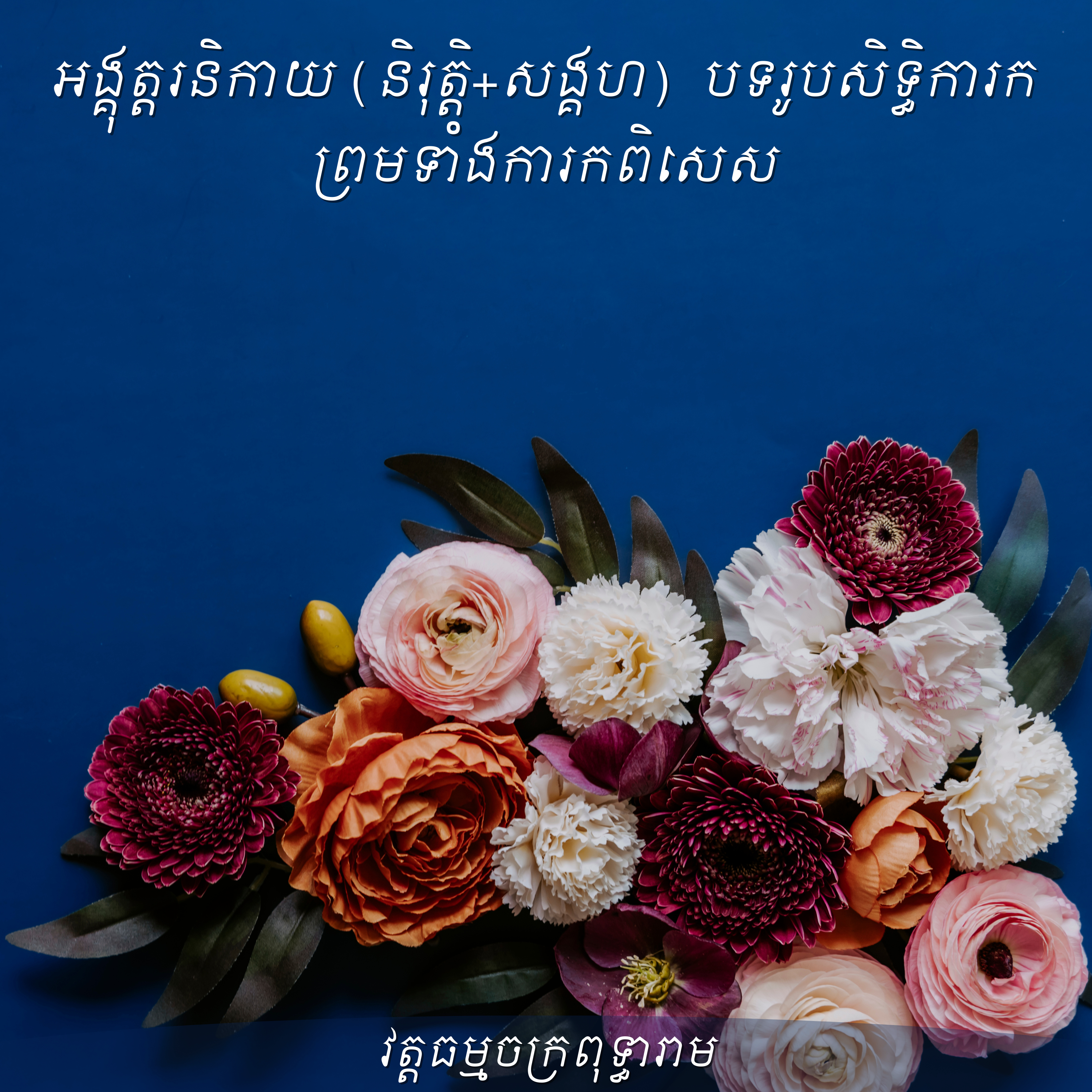 លោកម្ចាស់ថូ ចន្ថា_អង្គុត្តរនិកាយ(និរុត្តិ+សង្គហ)បទរូបសិទ្ធិការក ព្រមទាំងការកពិសេស​