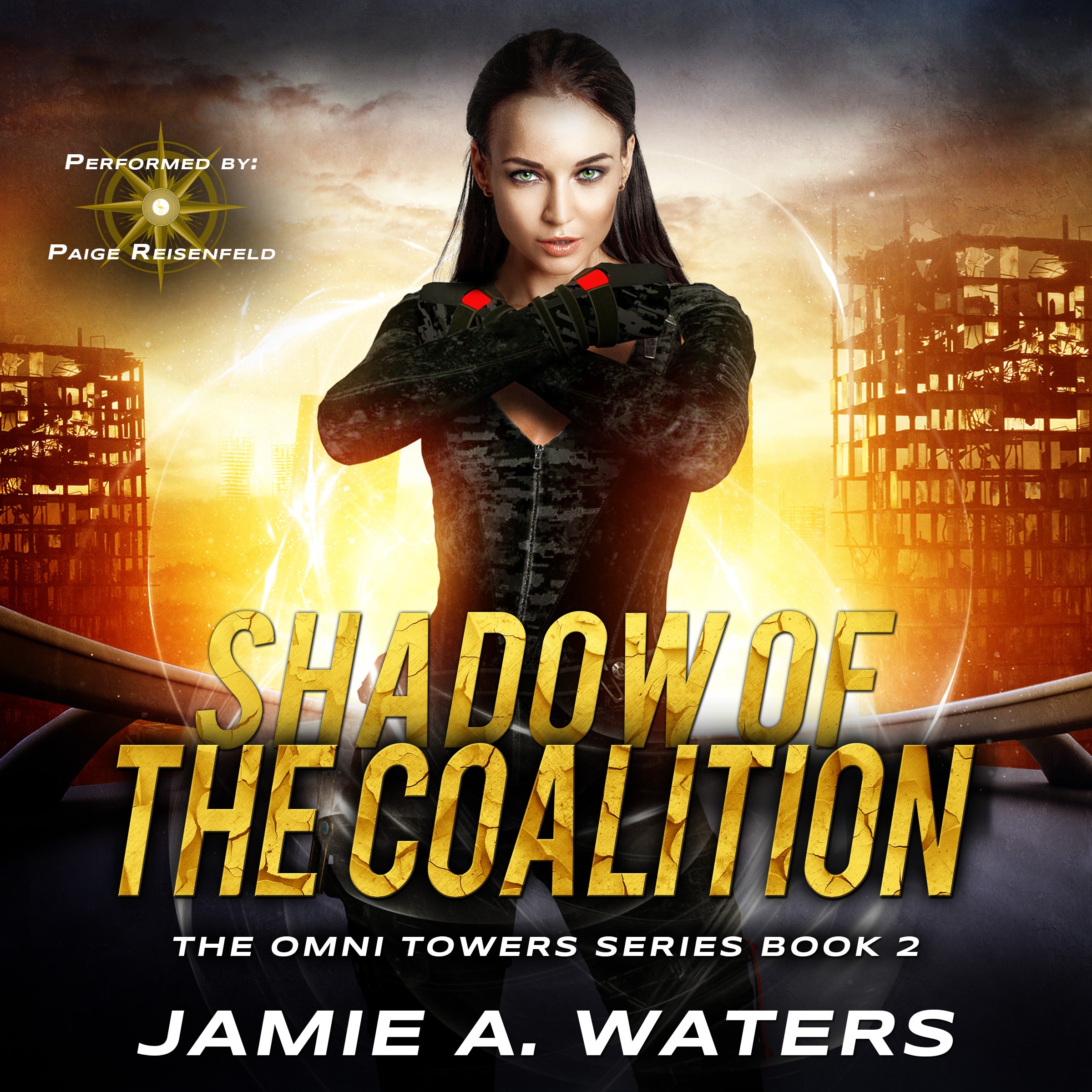 Shadow of the Coalition