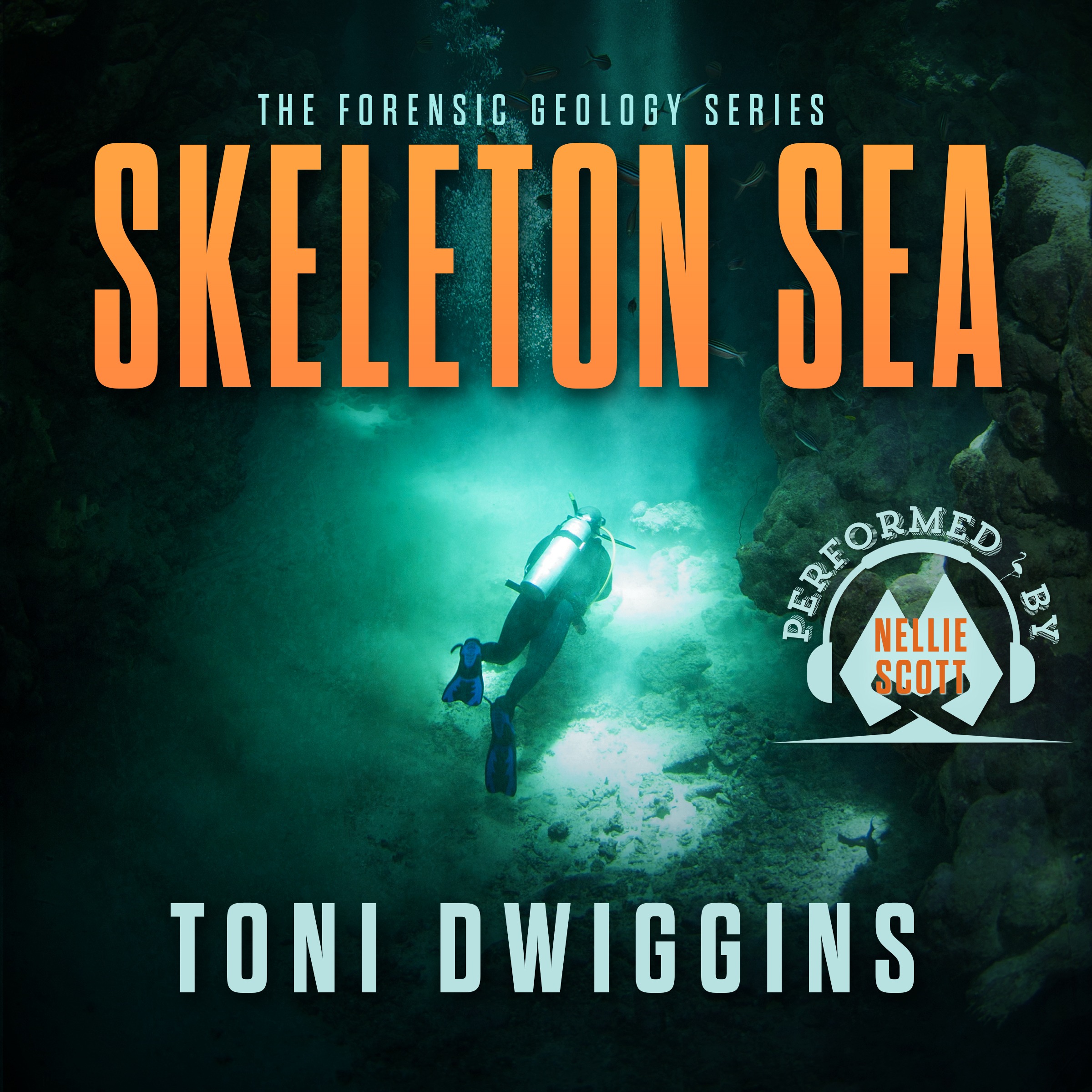 Skeleton Sea