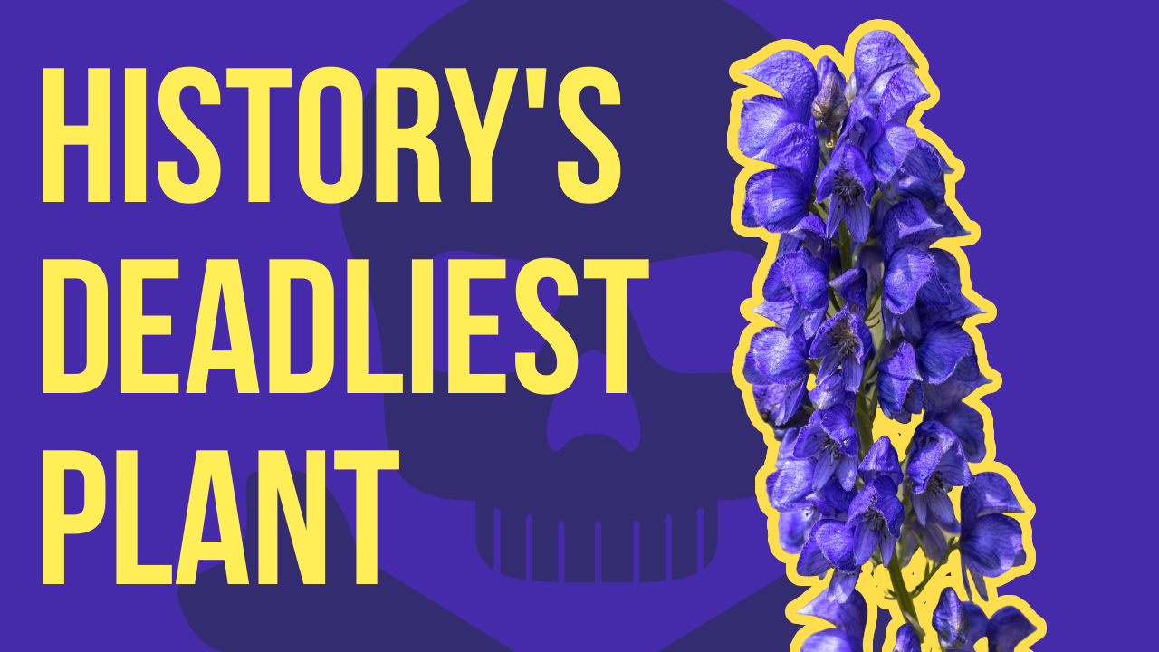 The Deadliest Plant in Your Garden?