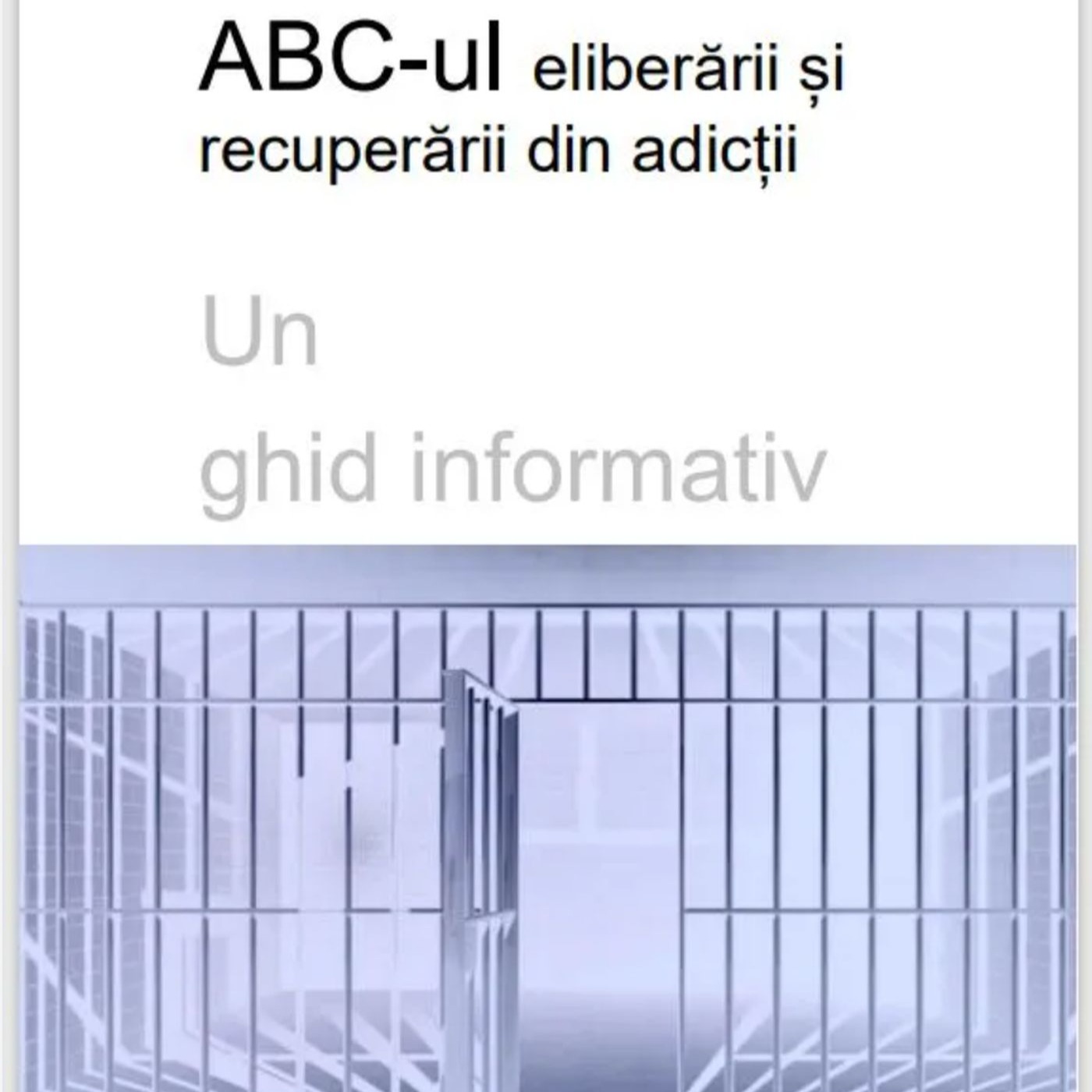 Dialog pe marginea ABC-ului Recuperării din adicții