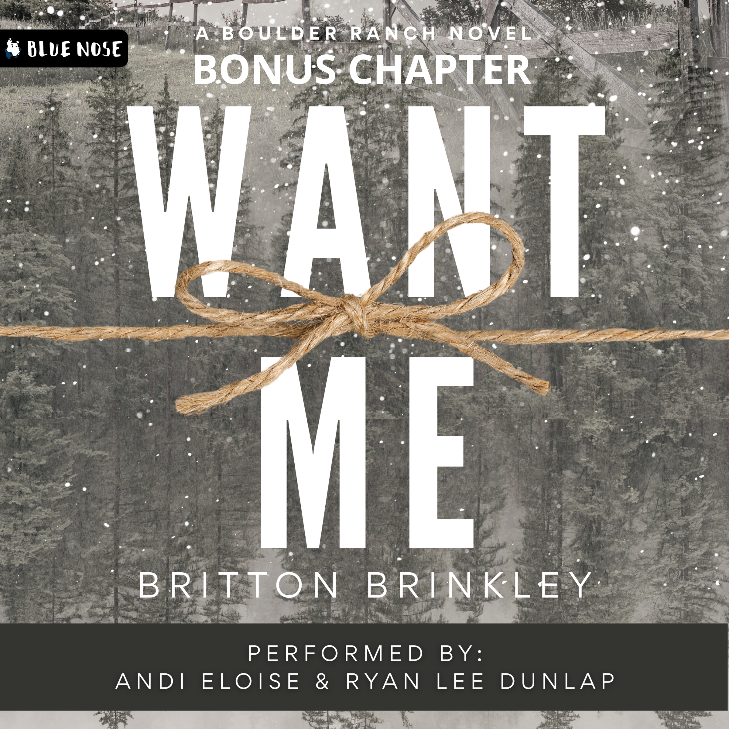 Want Me Bonus Chapter 