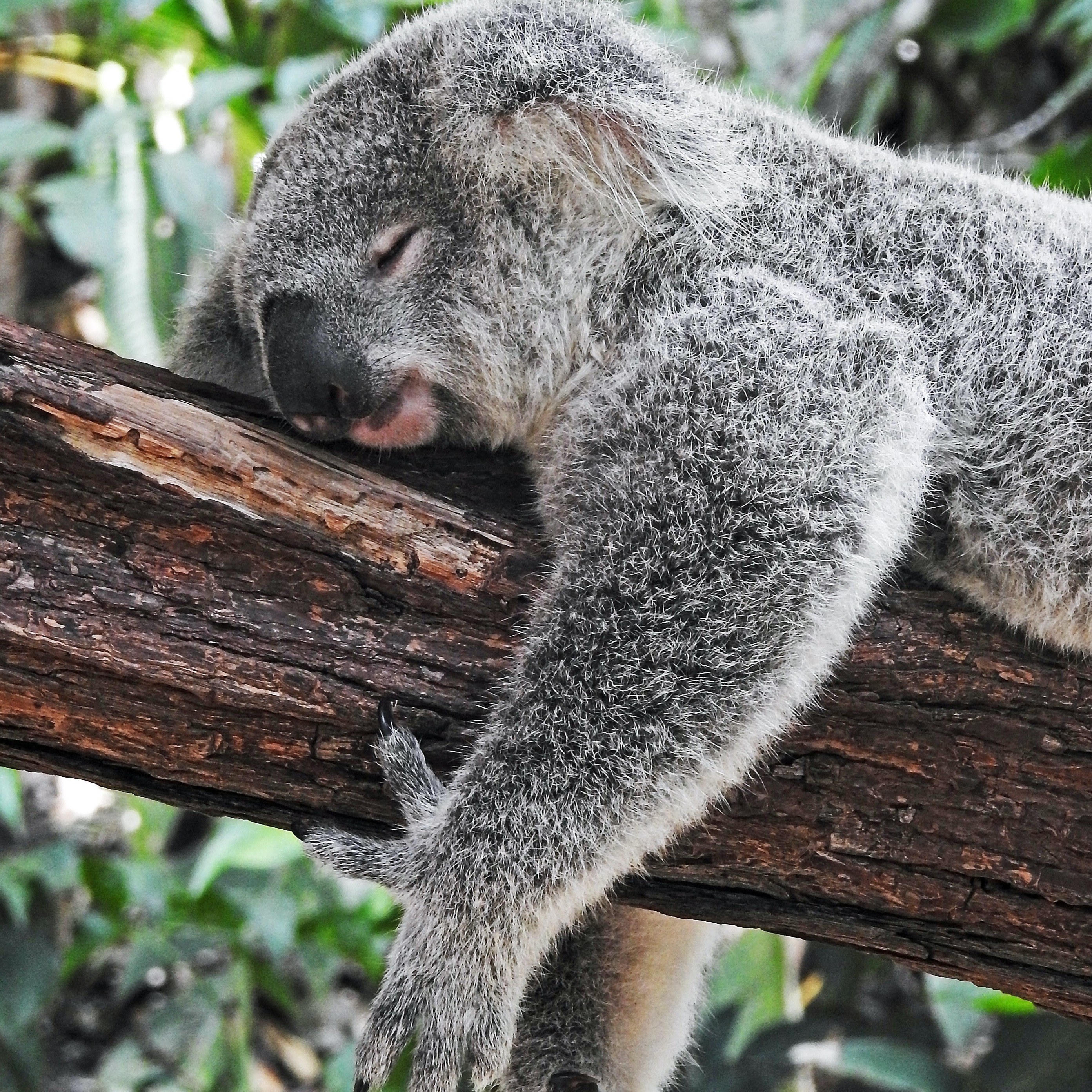 Slide into Sleep