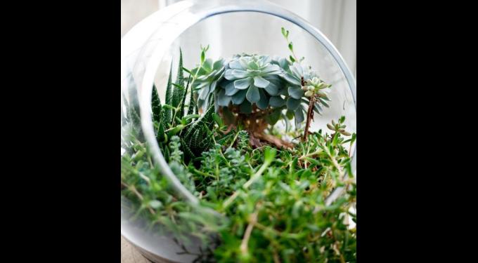 Palm Beach Home & Design Show | South Florida Finds