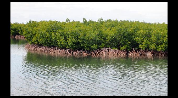 Bill Baggs Cape Florida State Park - Bill Baggs Cape Florida State Park 1 3160 