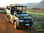 Safari Drive