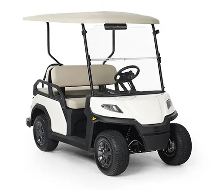Toro Vista 4 Passenger