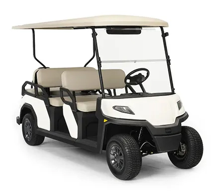 Toro Vista 6 Passenger