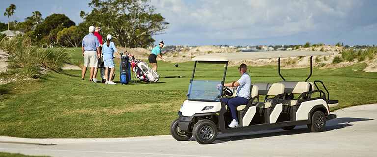 Toro Vista - 8-Passenger vehicle