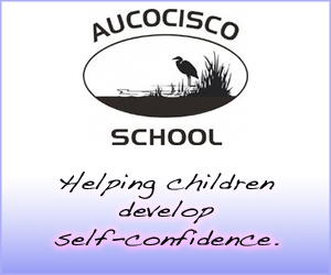 300x250_aucocisco