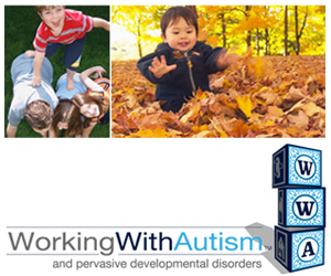 300x250_workingwithautism