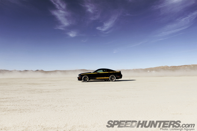 Gallery>> El Mirage, The Mustang & The Artiste