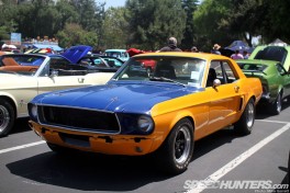 Mustang1