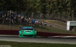 Falken Motorsports Porsche 911 GT3 RSR 1920x1200pxphoto by Sean Klingelhoefer