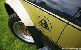 1920x1200 Sunbeam LotusPhoto by Jonathan Moore