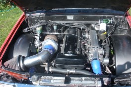 OLYMPUS DIGITAL CAMERA