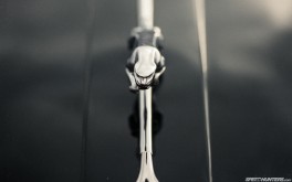 1920x1200  Photo by Paddy McGrath