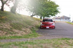 Bee Dragon GRS181 #5