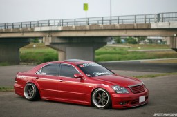 Bee Dragon GRS181 #6