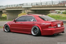 Bee Dragon GRS181 #8