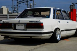 OLYMPUS DIGITAL CAMERA